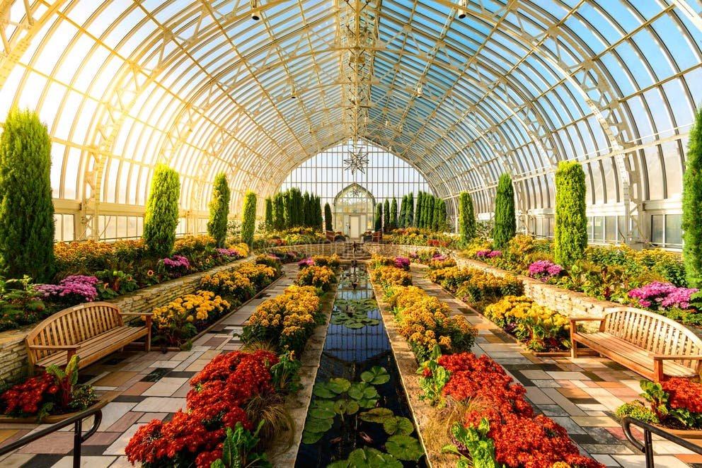 Conservatory warm light St. Paul MN